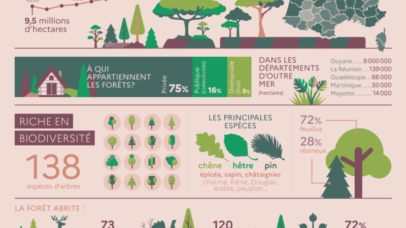 Forêts françaises : les chiffres [Ministère de l’Agriculture et de l’Alimentation]